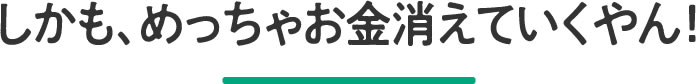 しかも、めっちゃお金消えていくやん!